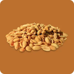 Jumbo Erdnüsse in Erdnuss-Öl geröstet und...