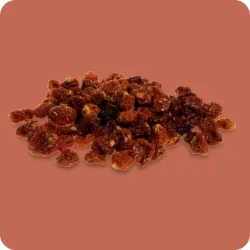 Physalis (Kapstachelbeere) getrocknet ohne Zusätze