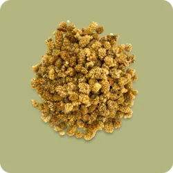 Helle Maulbeeren 100g