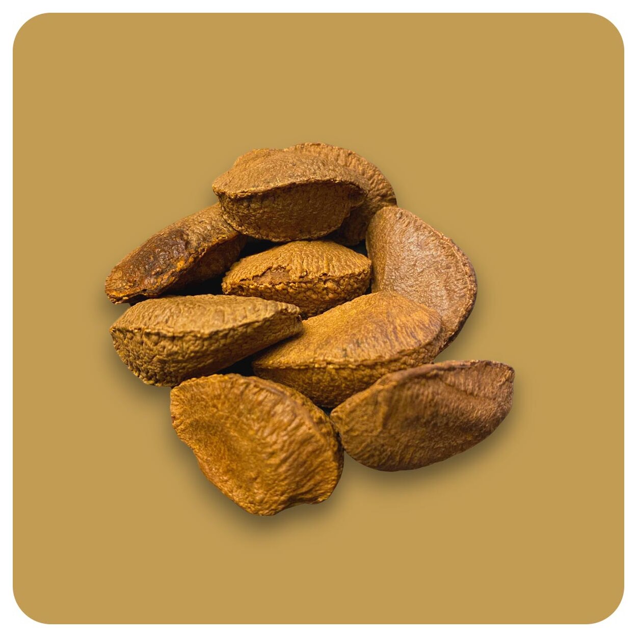 Paranüsse in der Schale